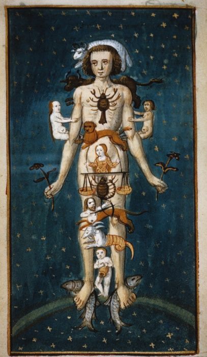 Zodiac-Man-15th-Century-0924-2013.jpg
